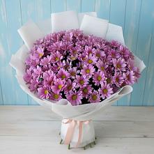 Букет цветов из:  Хризантемы в Зязикове-Юрте