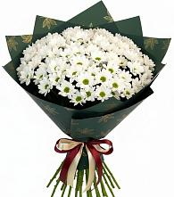 Букет цветов из:  Хризантемы в Зязикове-Юрте