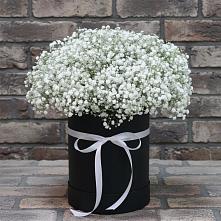 Цветочная композиция из Гипсофила в шляпной коробке в Зязикове-Юрте