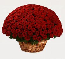 Премиум букет из: Розы #REPLACE_PRED# Зязикове-Юрте