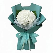 Букет цветов из:  Гортензия в Зязикове-Юрте